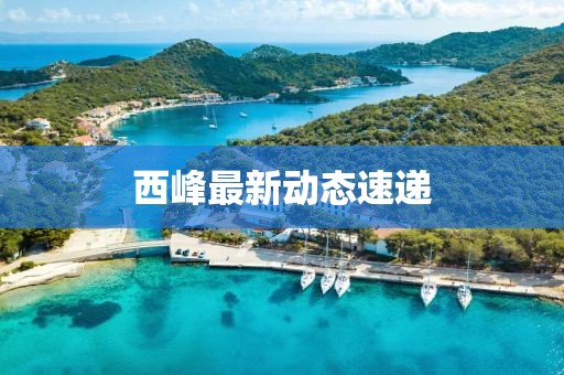 西峰最新動態速遞