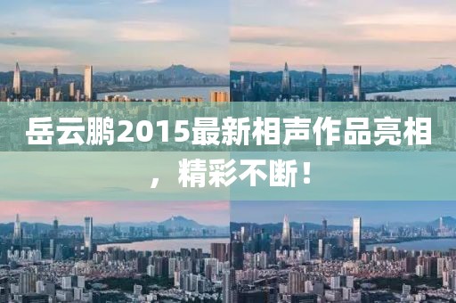 岳云鵬2015最新相聲作品亮相，精彩不斷！