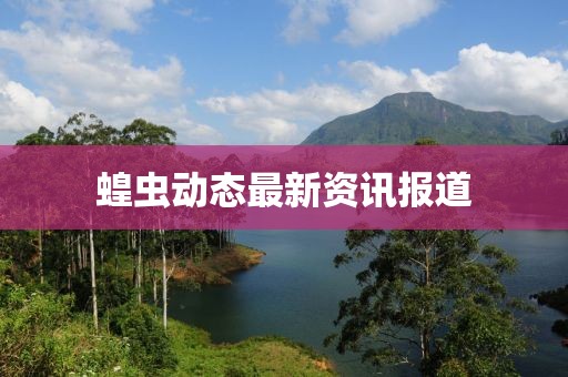 2025年3月7日 第9頁