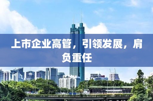 上市企業高管，引領發展，肩負重任