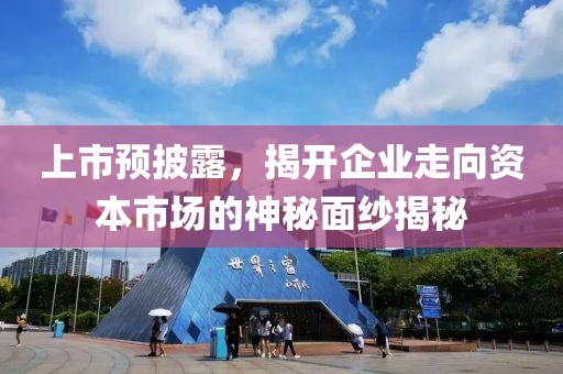 上市預披露，揭開企業走向資本市場的神秘面紗揭秘