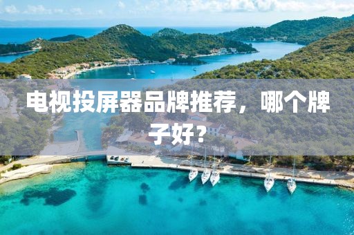 電視投屏器品牌推薦，哪個牌子好？