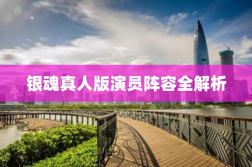銀魂真人版演員陣容全解析