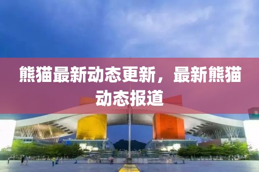 熊貓最新動態更新，最新熊貓動態報道