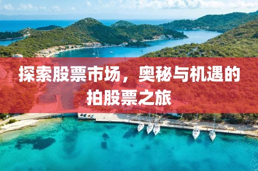 探索股票市場，奧秘與機遇的拍股票之旅
