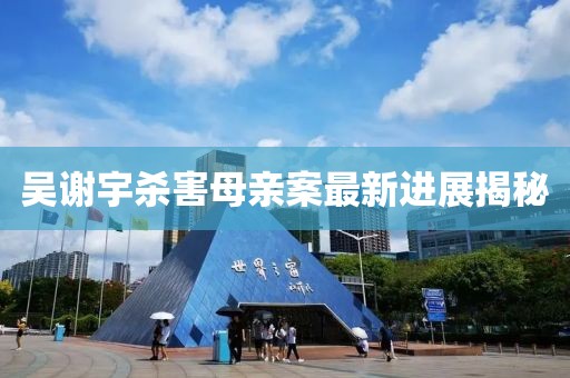 吳謝宇殺害母親案最新進展揭秘
