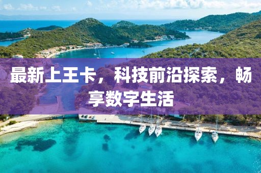 最新上王卡，科技前沿探索，暢享數字生活