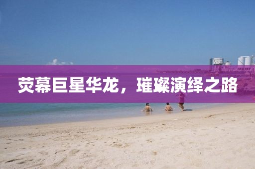 熒幕巨星華龍，璀璨演繹之路