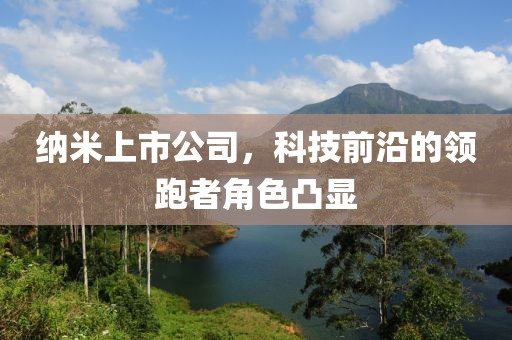 納米上市公司，科技前沿的領跑者角色凸顯