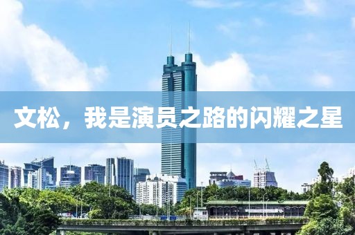 文松，我是演員之路的閃耀之星