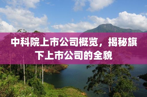 中科院上市公司概覽，揭秘旗下上市公司的全貌