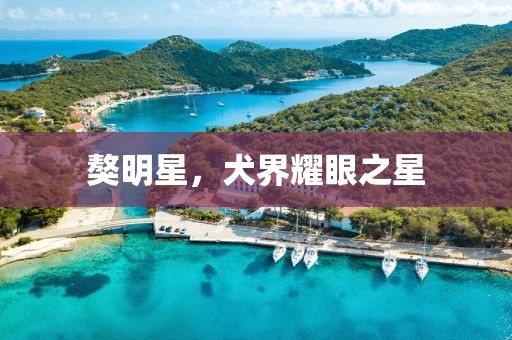 文覓兒 第3頁