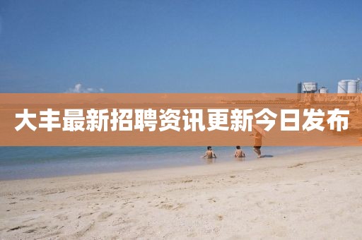 大豐最新招聘資訊更新今日發布