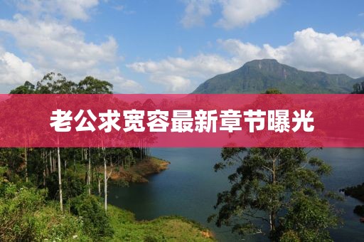 老公求寬容最新章節曝光