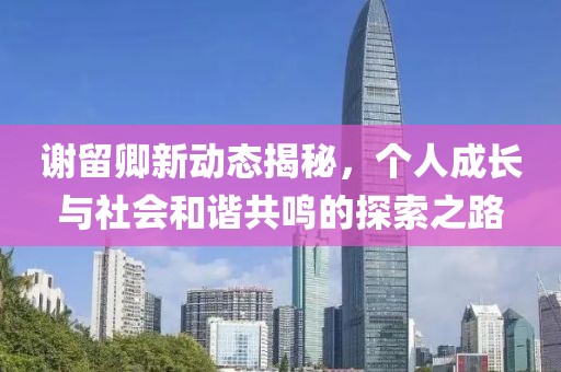 謝留卿新動態揭秘，個人成長與社會和諧共鳴的探索之路