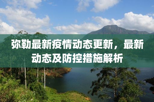 彌勒最新疫情動態更新，最新動態及防控措施解析