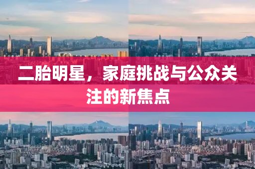 二胎明星，家庭挑戰與公眾關注的新焦點