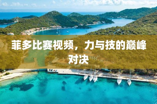 菲多比賽視頻，力與技的巔峰對決