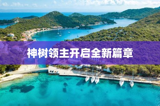神樹領主開啟全新篇章
