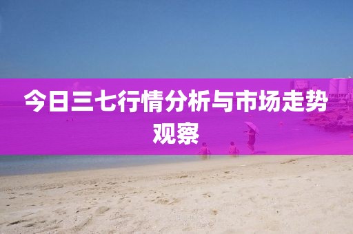 今日三七行情分析與市場走勢觀察