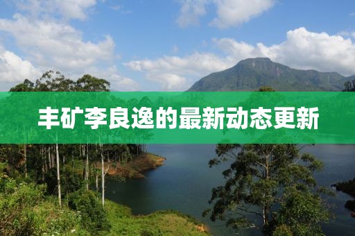 豐礦李良逸的最新動態更新