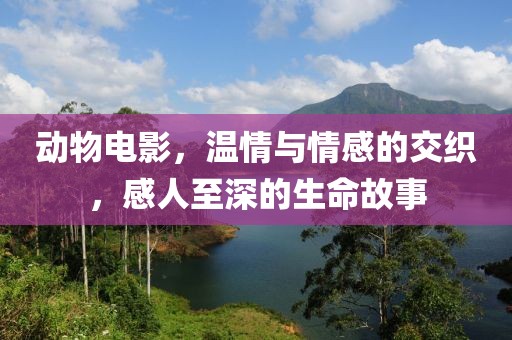 動物電影，溫情與情感的交織，感人至深的生命故事