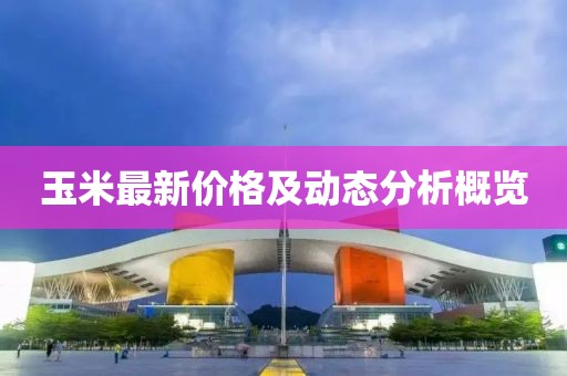 玉米最新價格及動態分析概覽