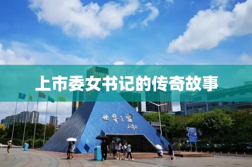 上市委女書記的傳奇故事