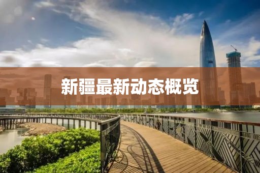 新疆最新動態概覽