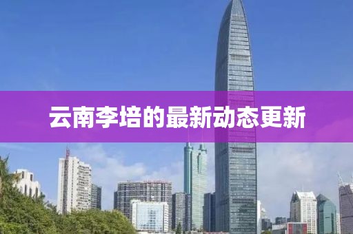 云南李培的最新動態更新