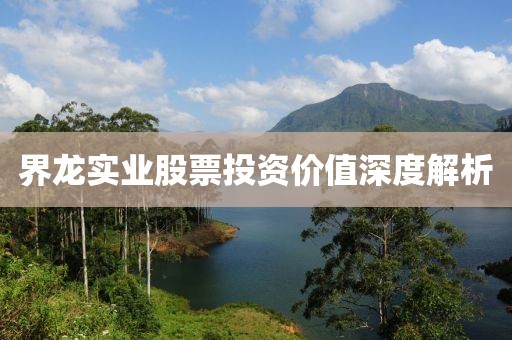 界龍實業股票投資價值深度解析