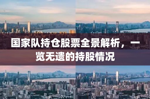 國家隊持倉股票全景解析，一覽無遺的持股情況