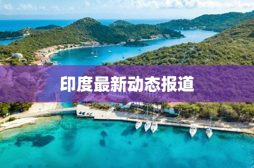 印度最新動態報道