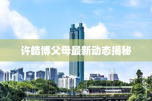 許皓博父母最新動態揭秘