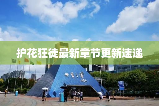 護花狂徒最新章節更新速遞