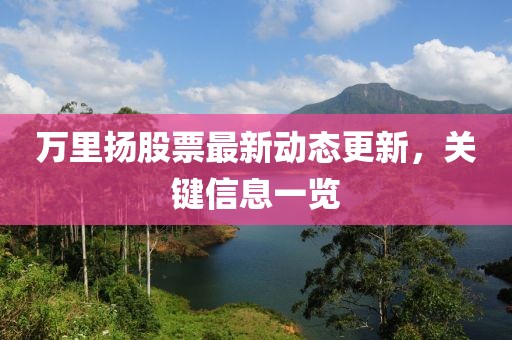 萬里揚股票最新動態更新，關鍵信息一覽