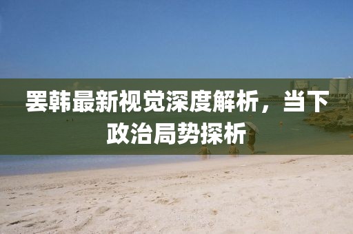 罷韓最新視覺深度解析，當下政治局勢探析