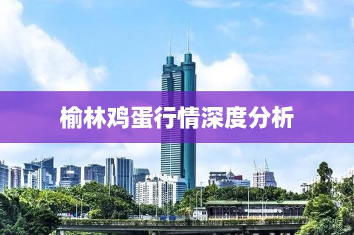 2025年3月15日