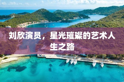 劉欣演員，星光璀璨的藝術人生之路