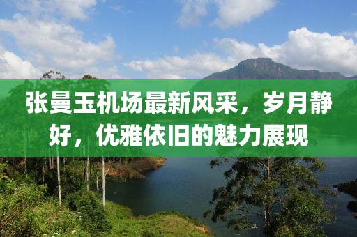 張曼玉機場最新風采，歲月靜好，優雅依舊的魅力展現