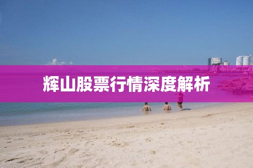 輝山股票行情深度解析