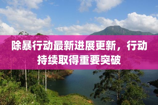 除暴行動最新進展更新，行動持續取得重要突破