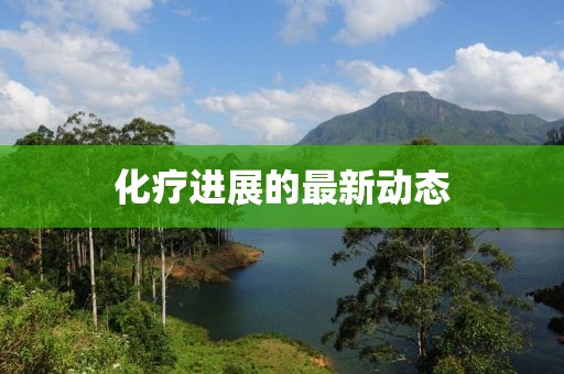 化療進展的最新動態