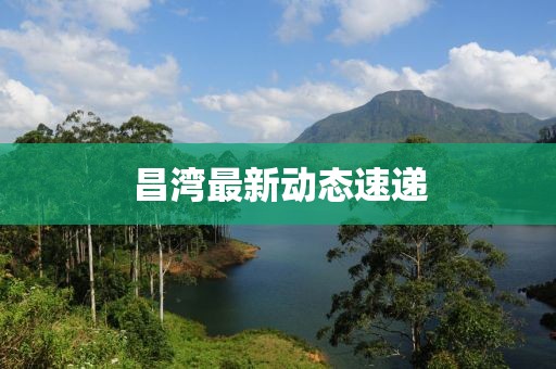 昌灣最新動態速遞