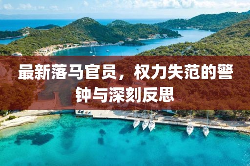最新落馬官員，權力失范的警鐘與深刻反思