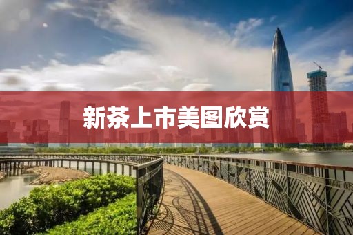 新茶上市美圖欣賞
