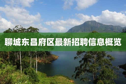 聊城東昌府區最新招聘信息概覽
