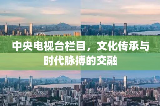 中央電視臺欄目，文化傳承與時代脈搏的交融