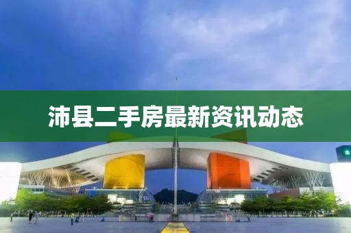 2025年3月17日