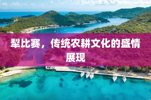 犁比賽，傳統農耕文化的盛情展現